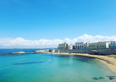 Escursione nella Riserva Naturale di Torre Guaceto - Image 4