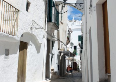 Degustazione di Olio Extravergine di Oliva – Scoprite l'oro verde della Puglia!