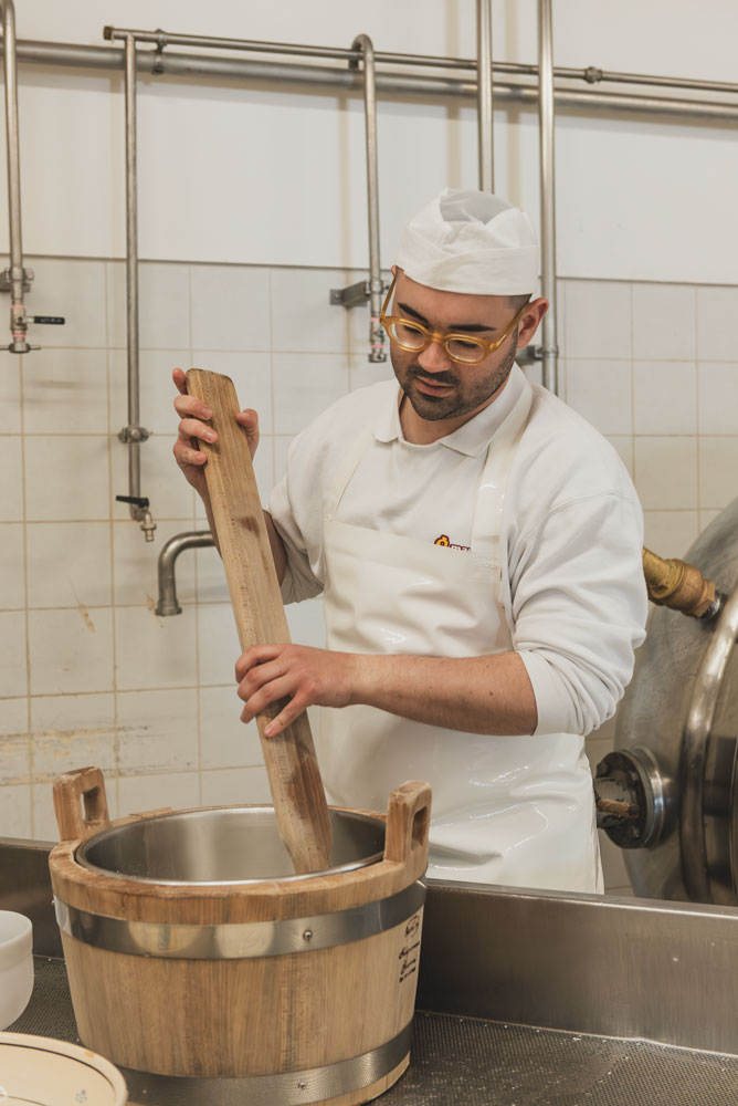 Tour in Fattoria con Degustazione di Formaggi e Prodotti Caseari